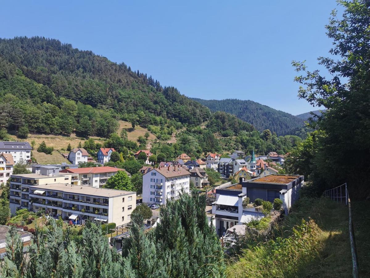 Terrassenwohnung Mit Toller Aussicht & Zentrumsnah Hornberg Buitenkant foto