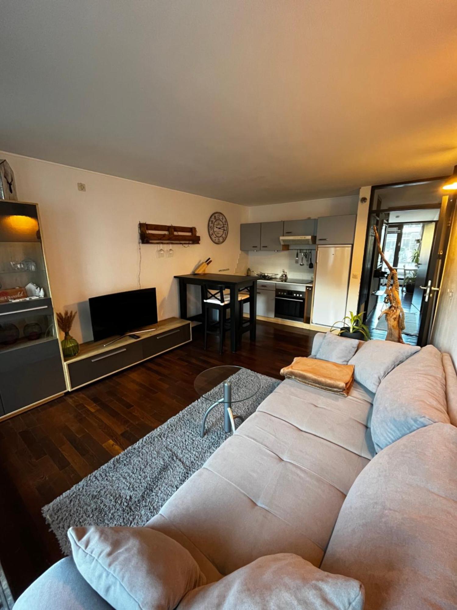 Terrassenwohnung Mit Toller Aussicht & Zentrumsnah Hornberg Buitenkant foto